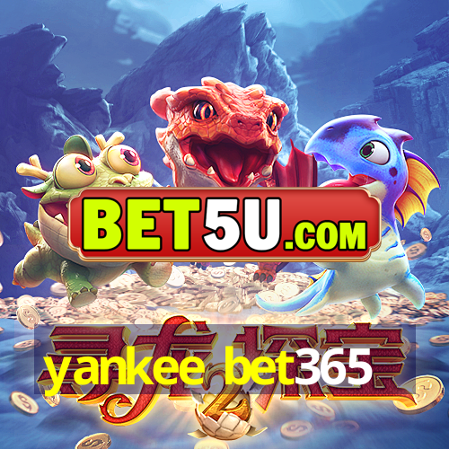 yankee bet365